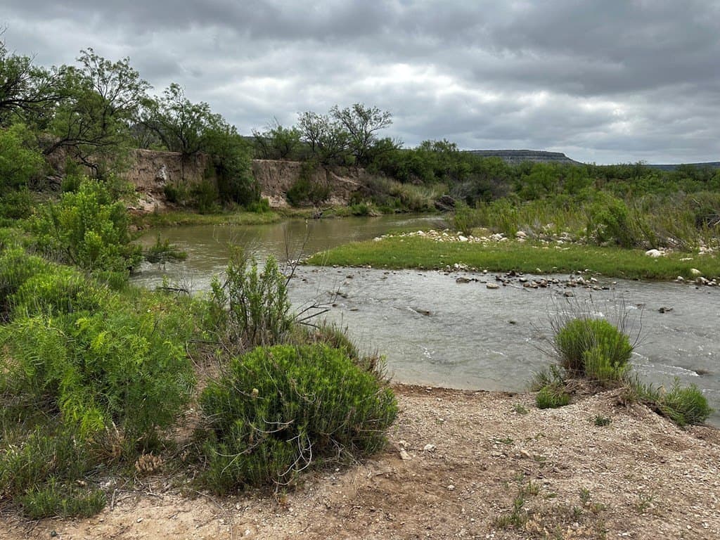 276.9 acres in Crockett County - photo 7