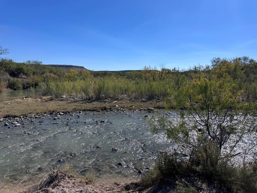 276.9 acres in Crockett County - photo 3