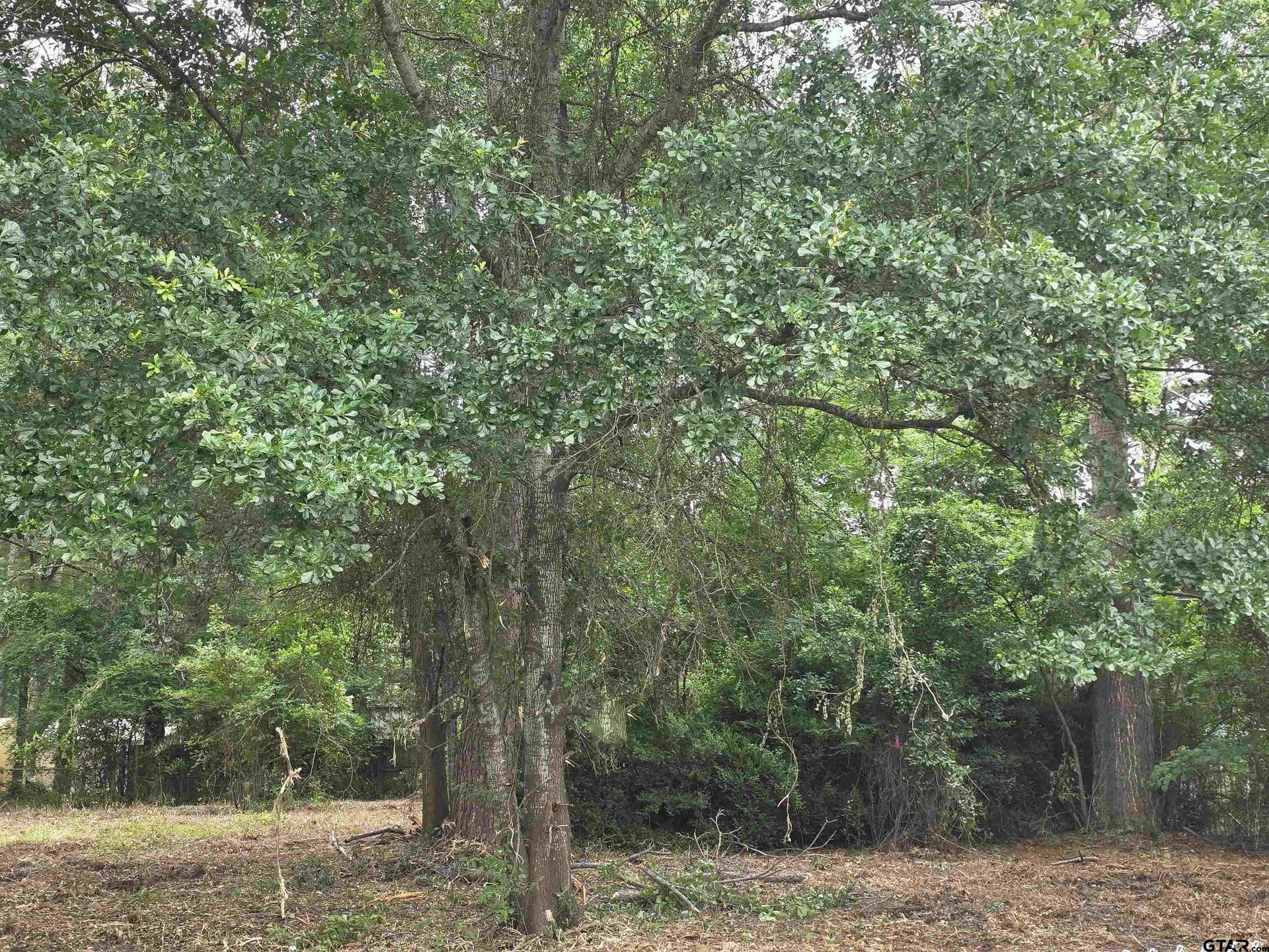0.67 acres in Henderson County - photo 6
