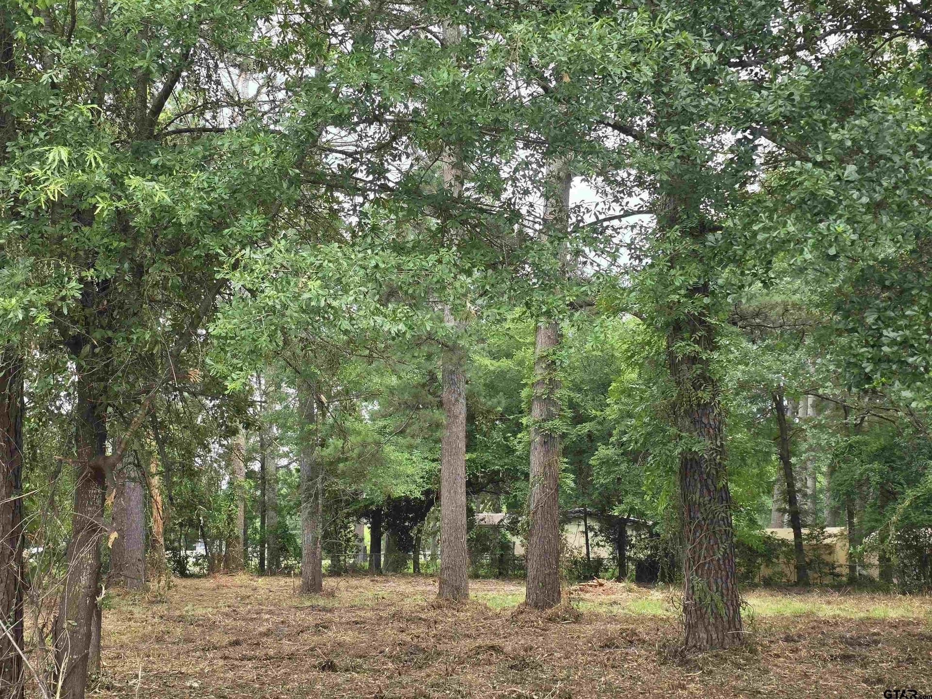 0.67 acres in Henderson County - photo 11