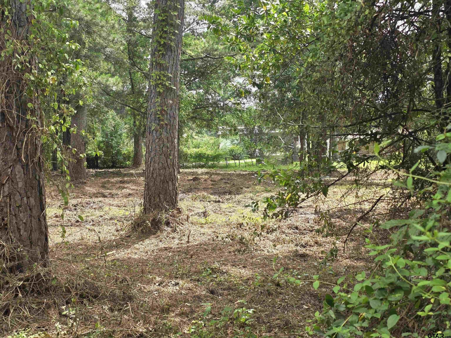 0.67 acres in Henderson County - photo 10
