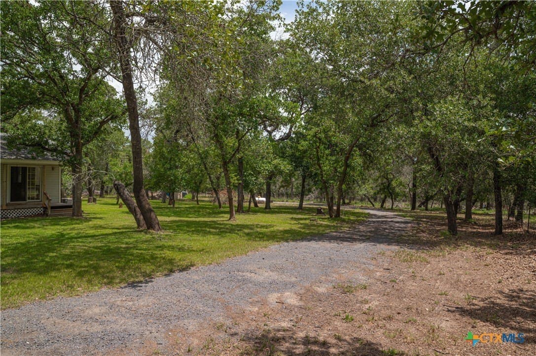 20 acres in Guadalupe County - photo 4