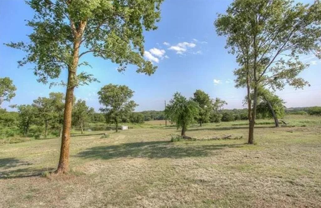 59.2 acres in Hill County - photo 8