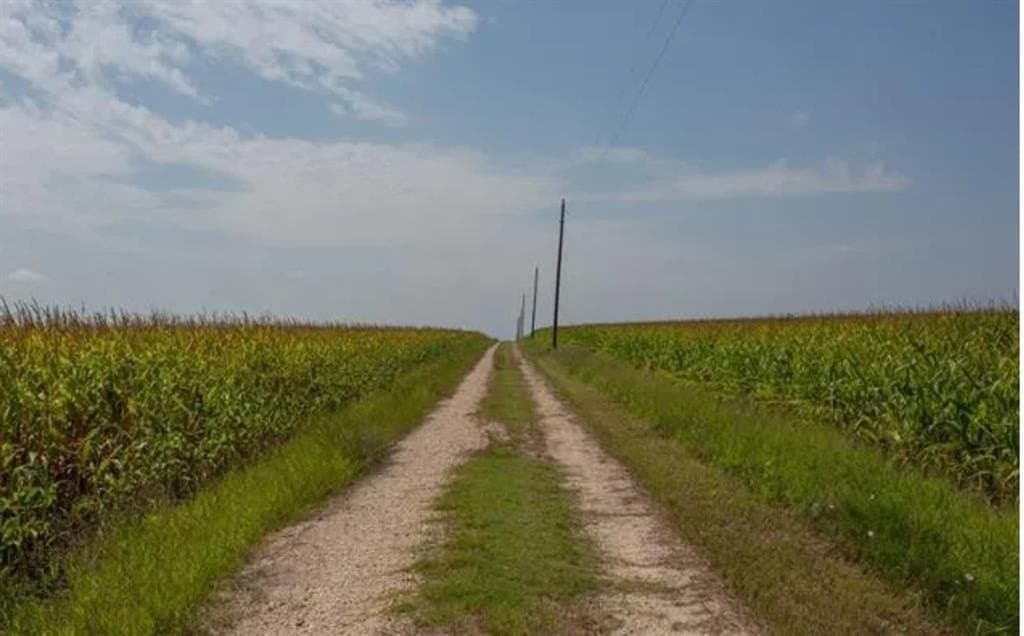 59.2 acres in Hill County - photo 22