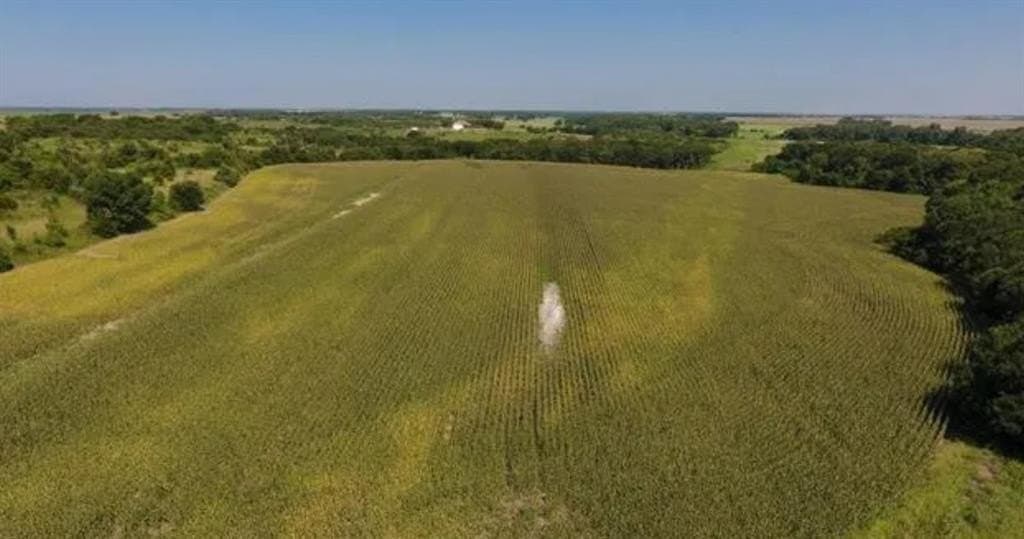 59.2 acres in Hill County - photo 10