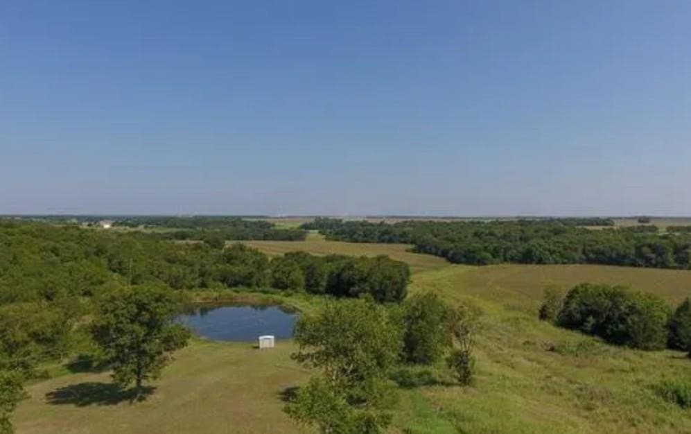 59.2 acres in Hill County - photo 4