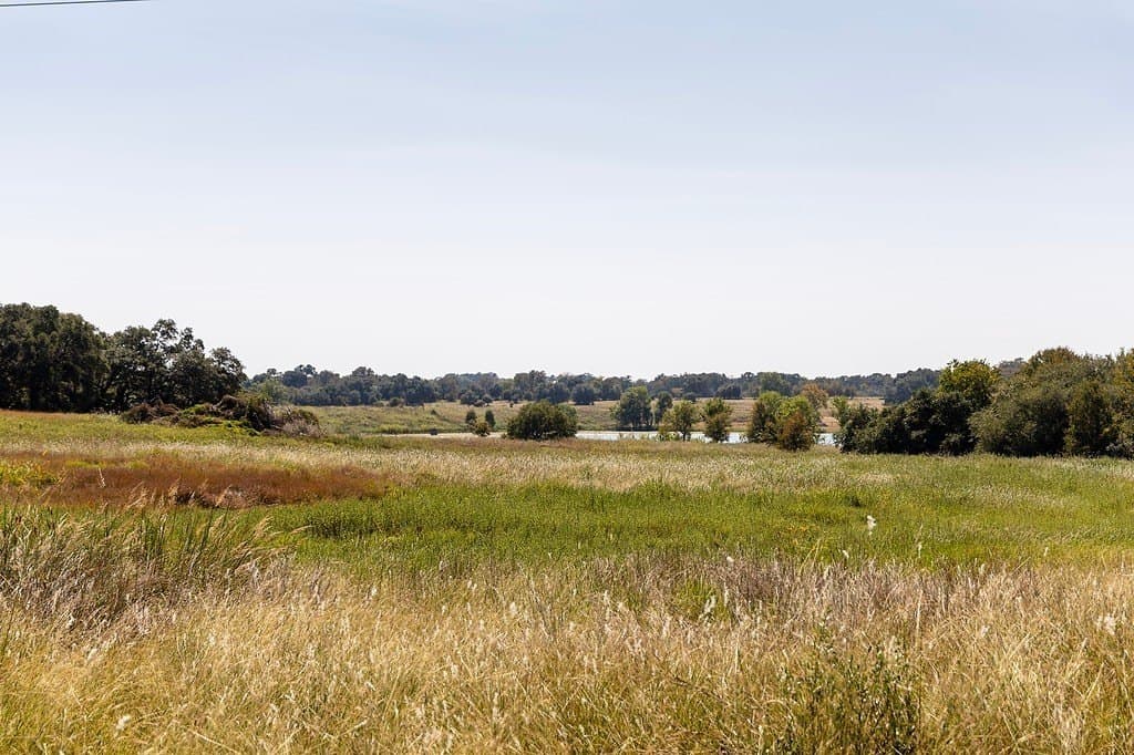 7.69 acres in Fayette County - photo 7