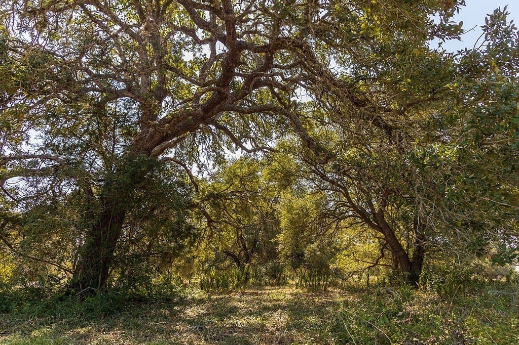 7.69 acres in Fayette County - photo 5