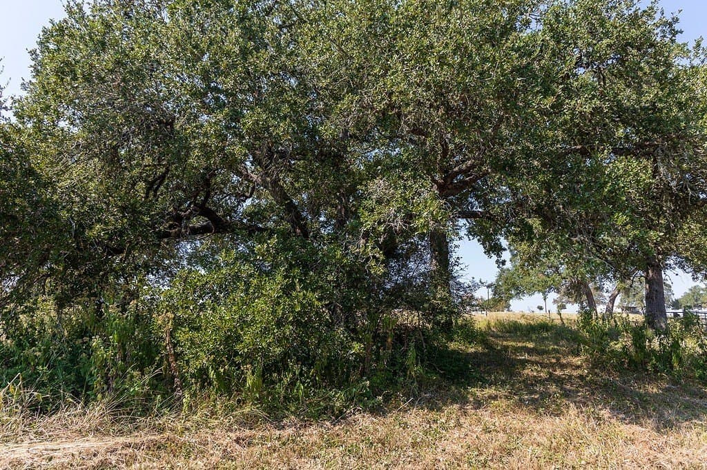 7.69 acres in Fayette County - photo 2