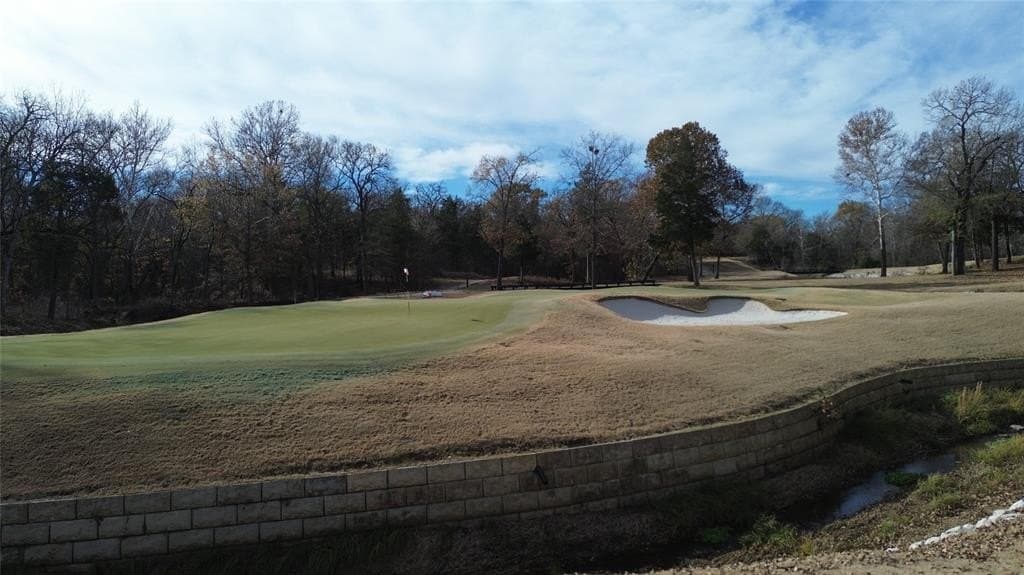 0.35 acres in Grayson County - photo 13