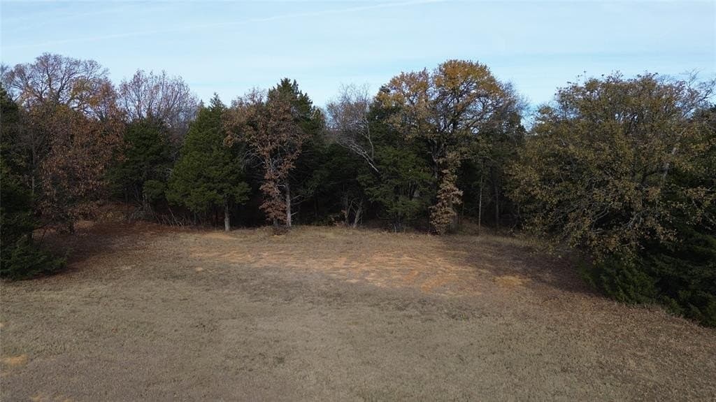 0.35 acres in Grayson County - photo 2