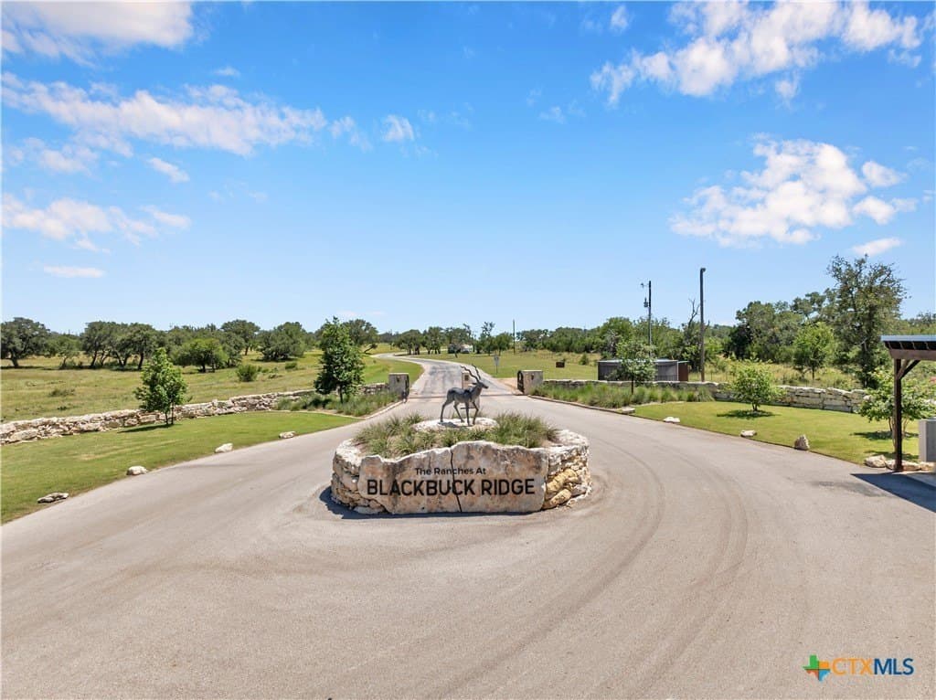 Blackbuck Ridge Drive lot: 90