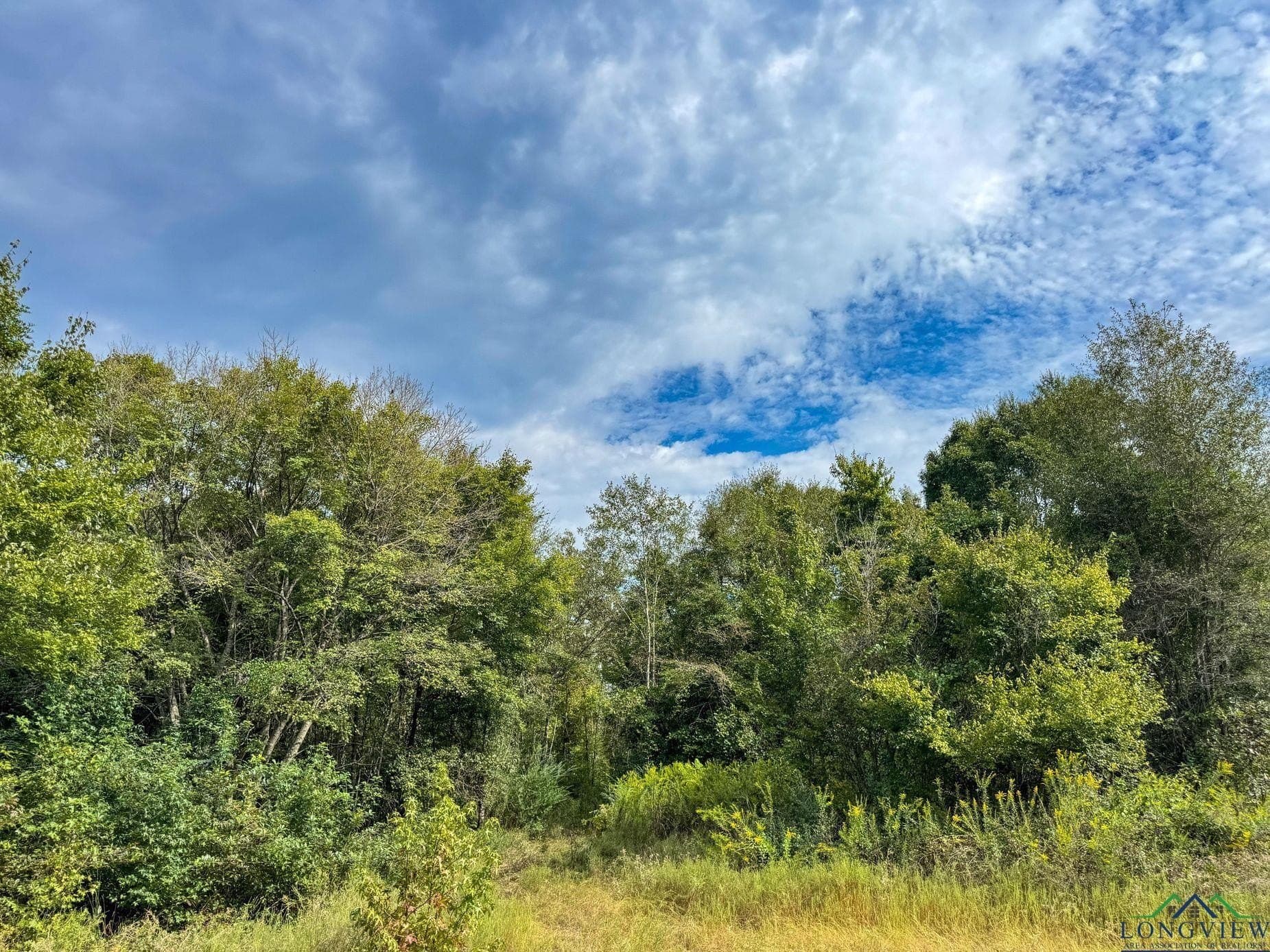 38.42 acres in Cass County - photo 41