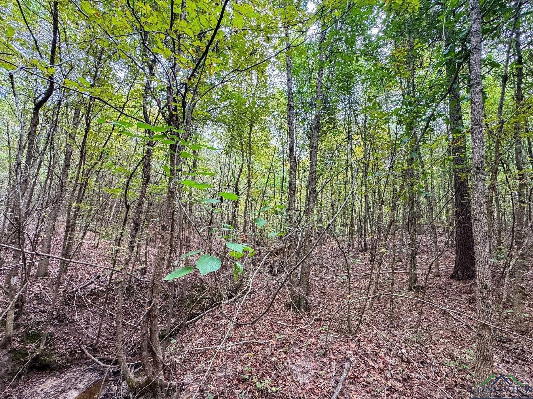 38.42 acres in Cass County - photo 42