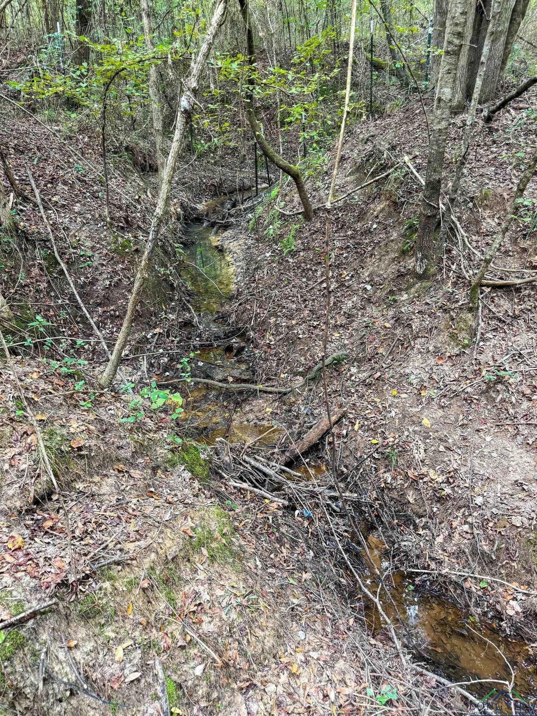 38.42 acres in Cass County - photo 45