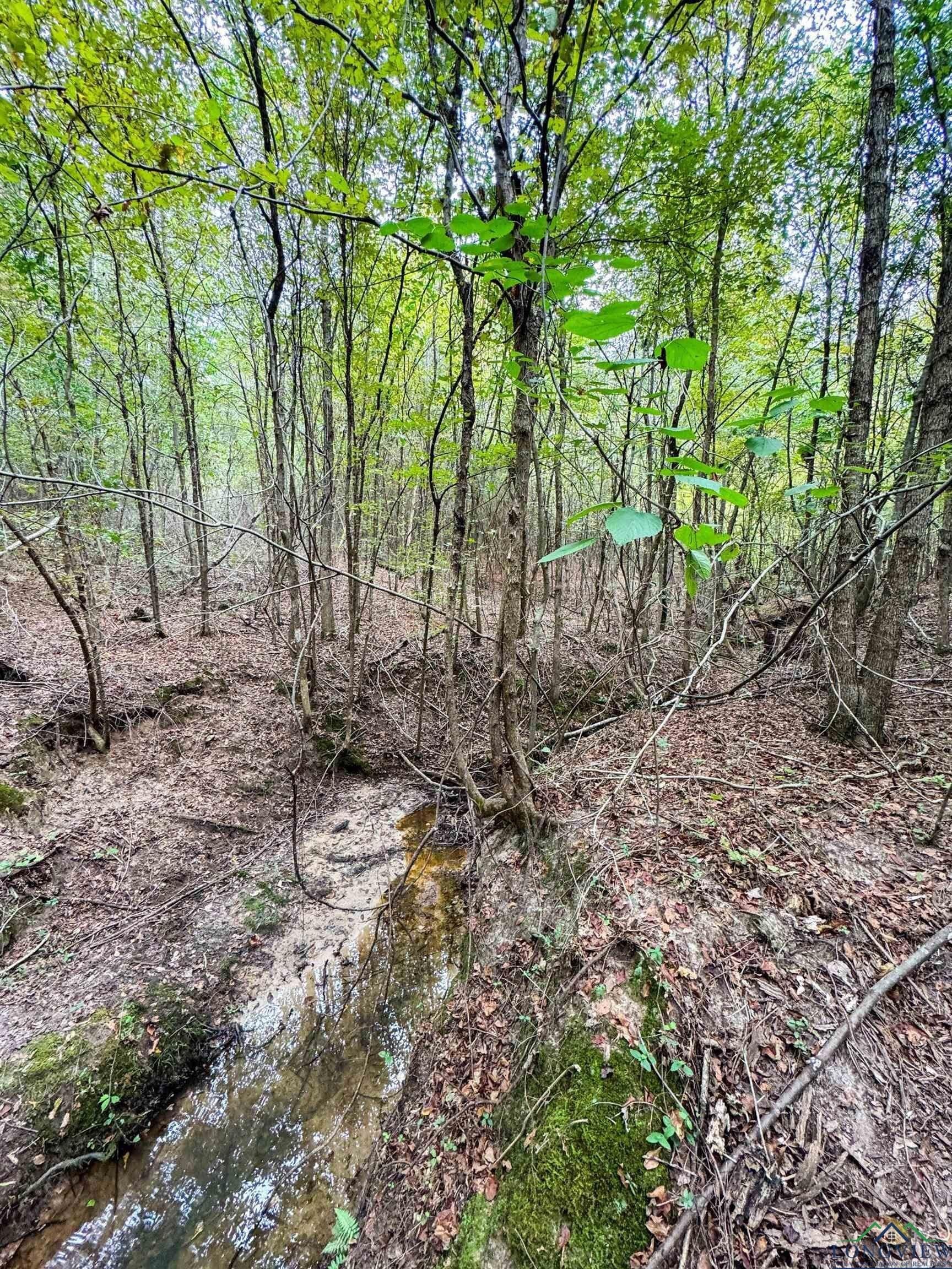 38.42 acres in Cass County - photo 43
