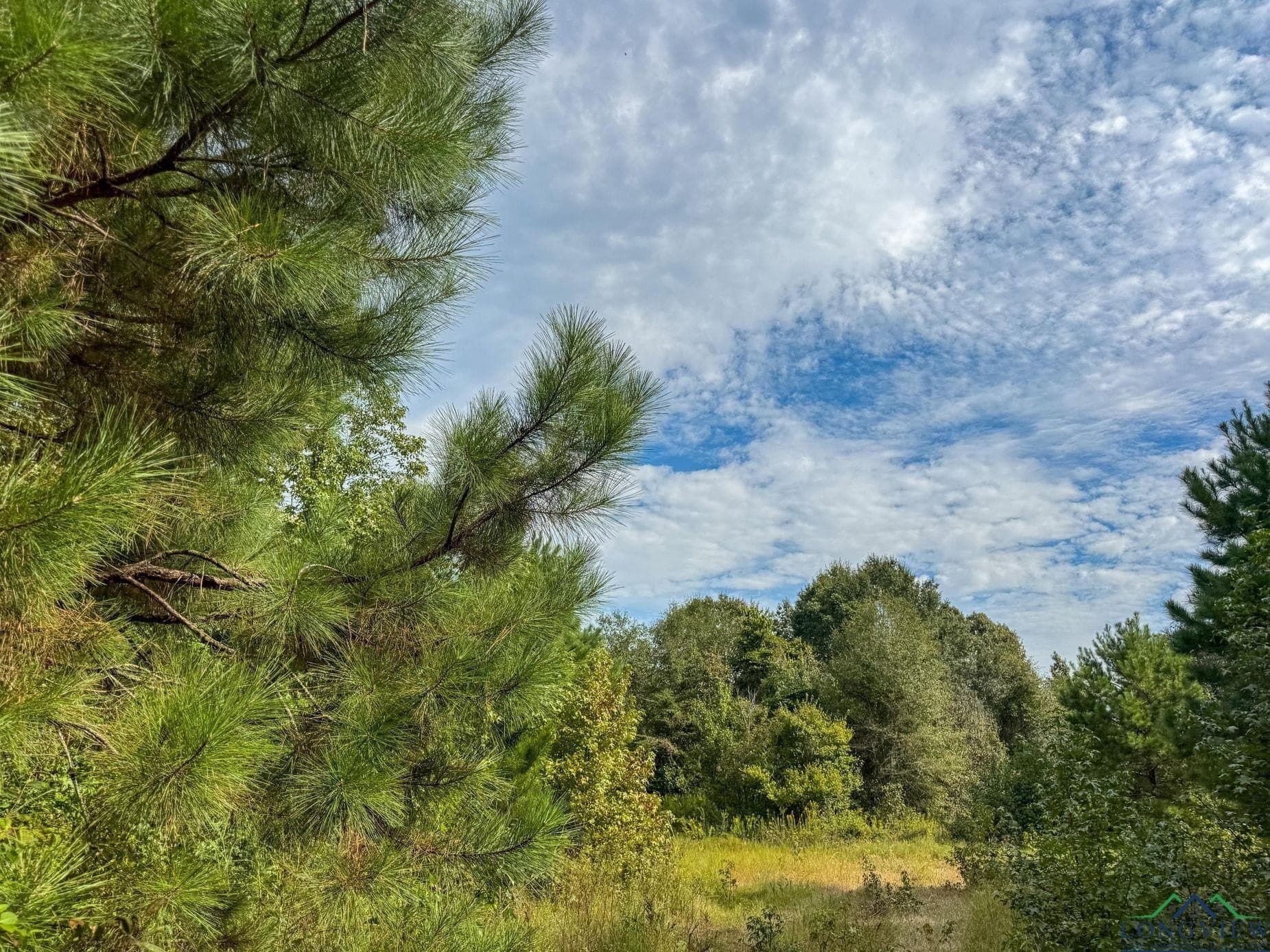 38.42 acres in Cass County - photo 40