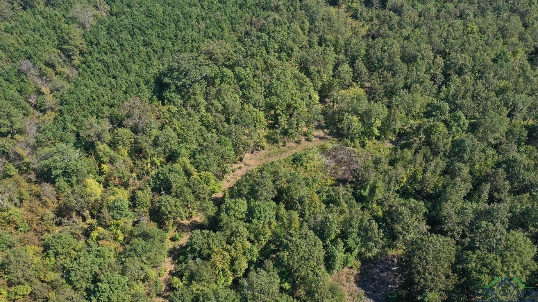 38.42 acres in Cass County - photo 48