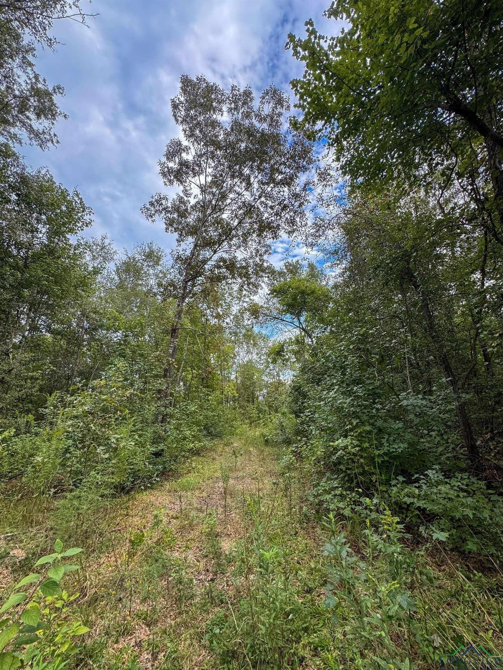 38.42 acres in Cass County - photo 46