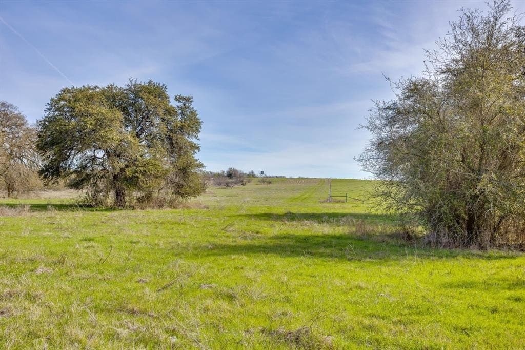 135.55 acres in Hill County - photo 29