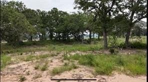 1 acres in Somervell County - photo 2