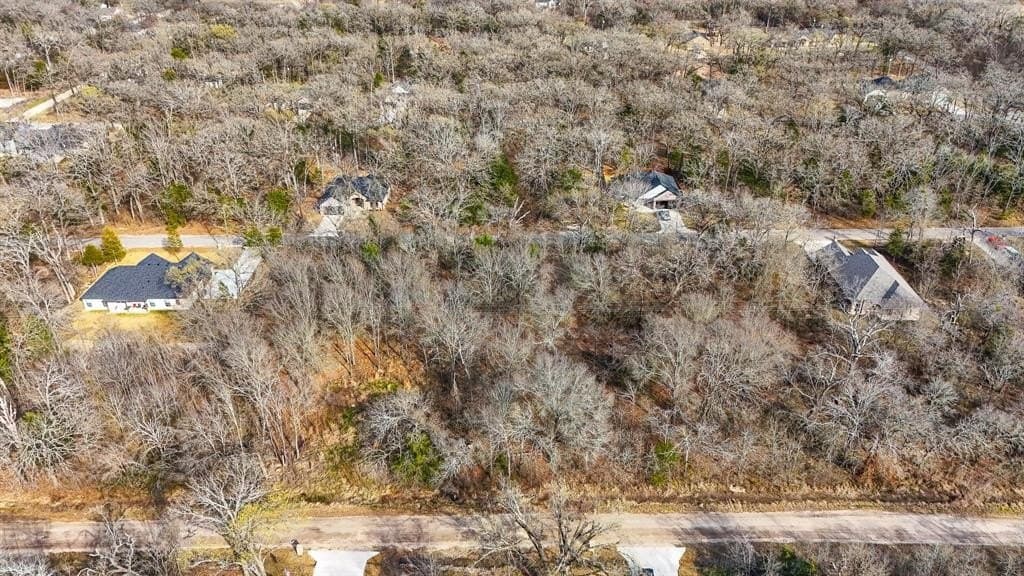 0.17 acres in Henderson County - photo 5
