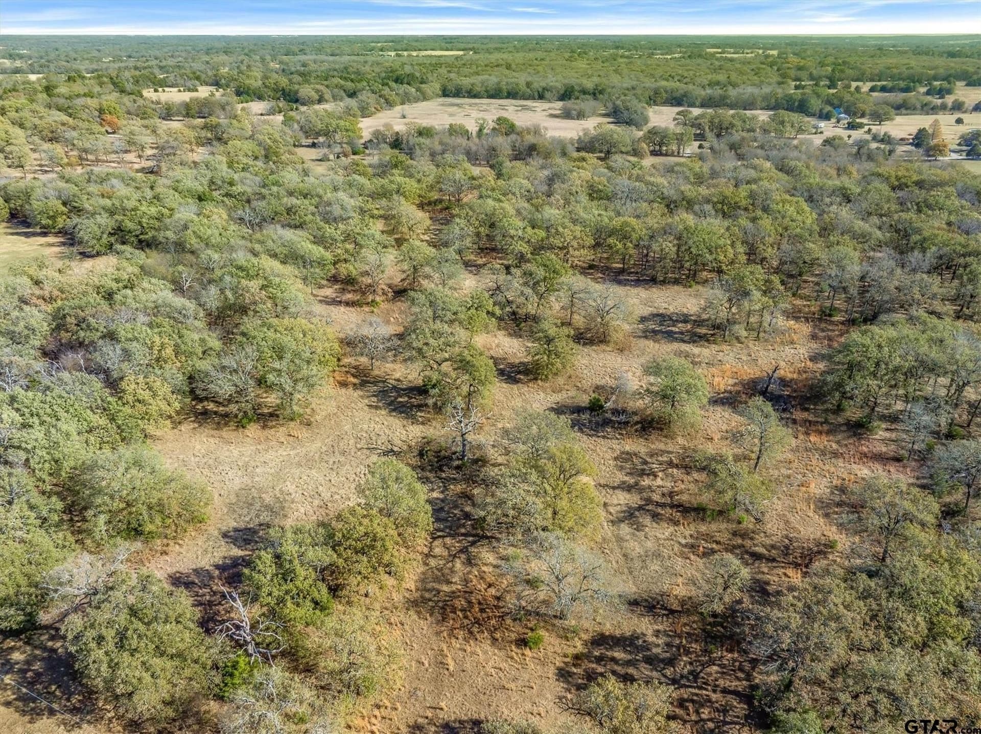 61.4 acres in Van Zandt County - photo 4