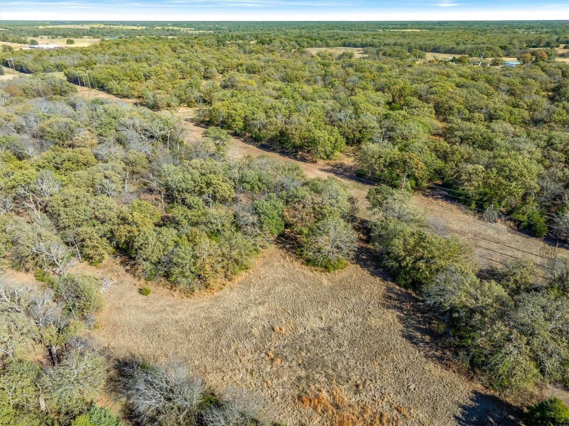 61.4 acres in Van Zandt County - photo 9