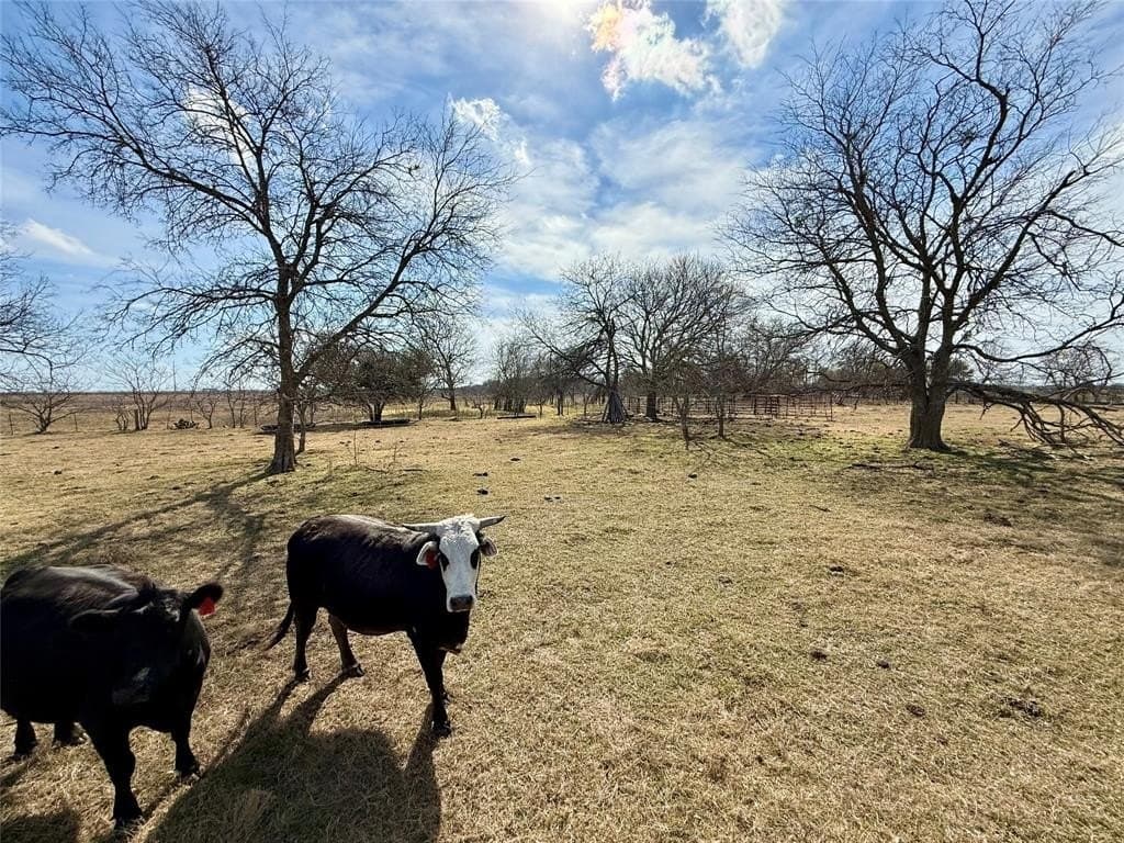 20.5 acres in Limestone County - photo 5