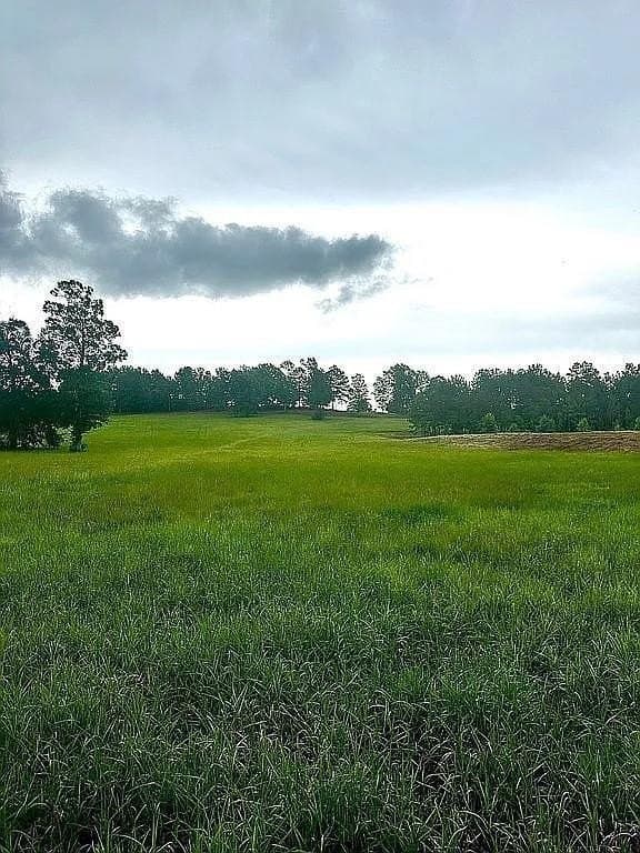 24 acres in Cherokee County - photo 18