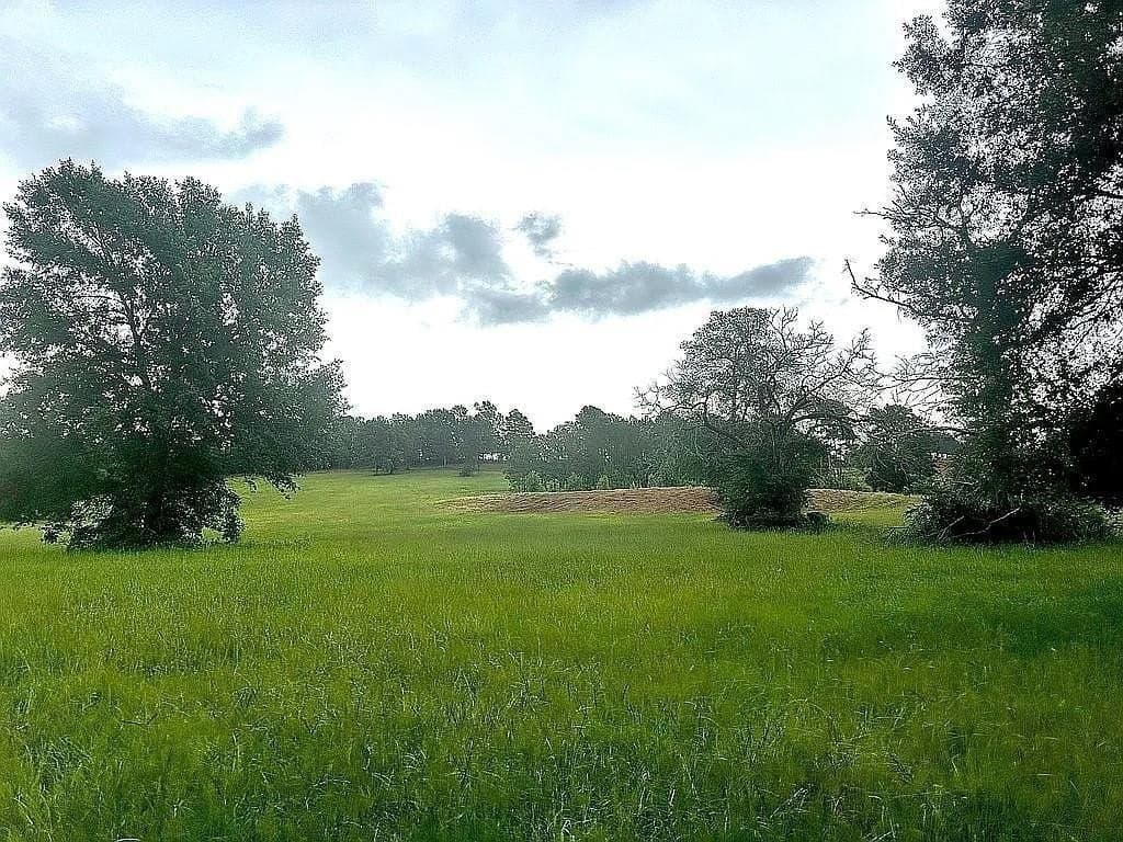 24 acres in Cherokee County - photo 27