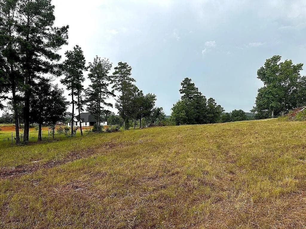 24 acres in Cherokee County - photo 29