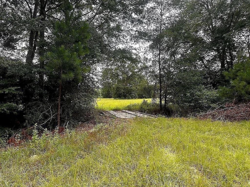 24 acres in Cherokee County - photo 11