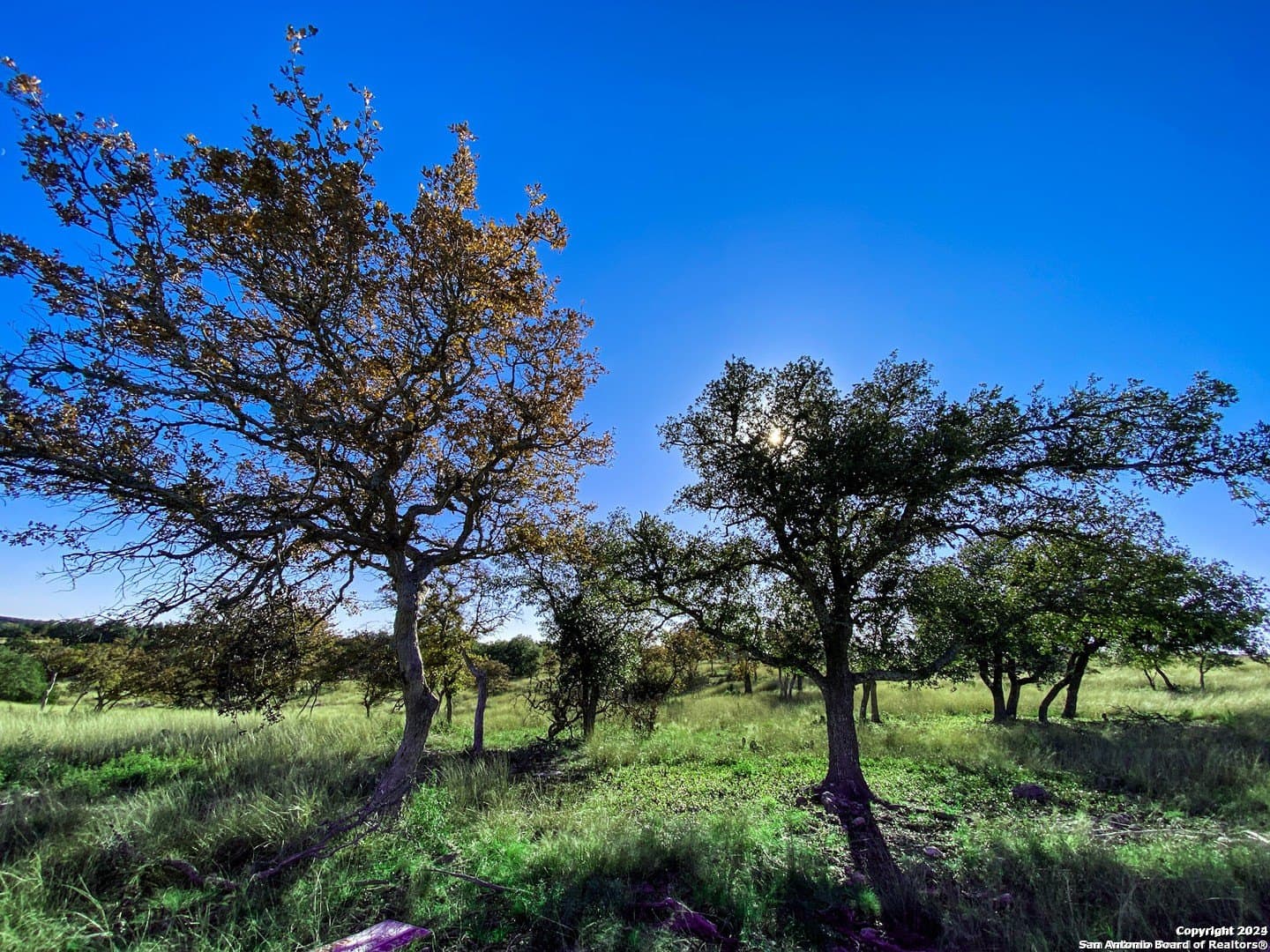 4.47 acres in Gillespie County - photo 9