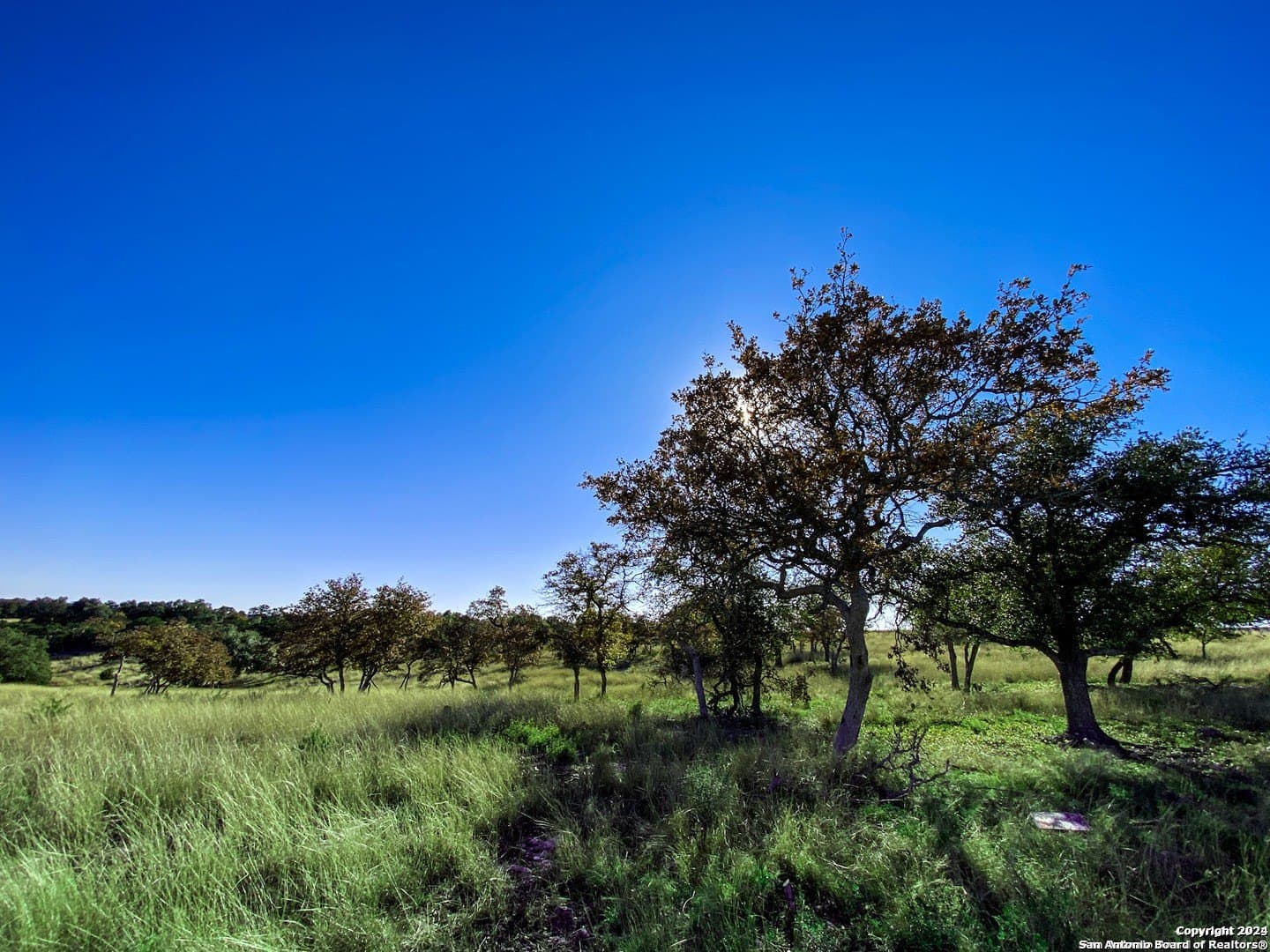 4.47 acres in Gillespie County - photo 5