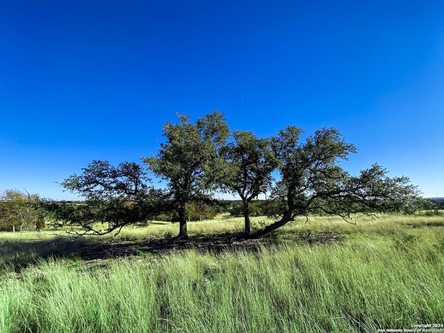 Loma Vista Ranch lot: 136