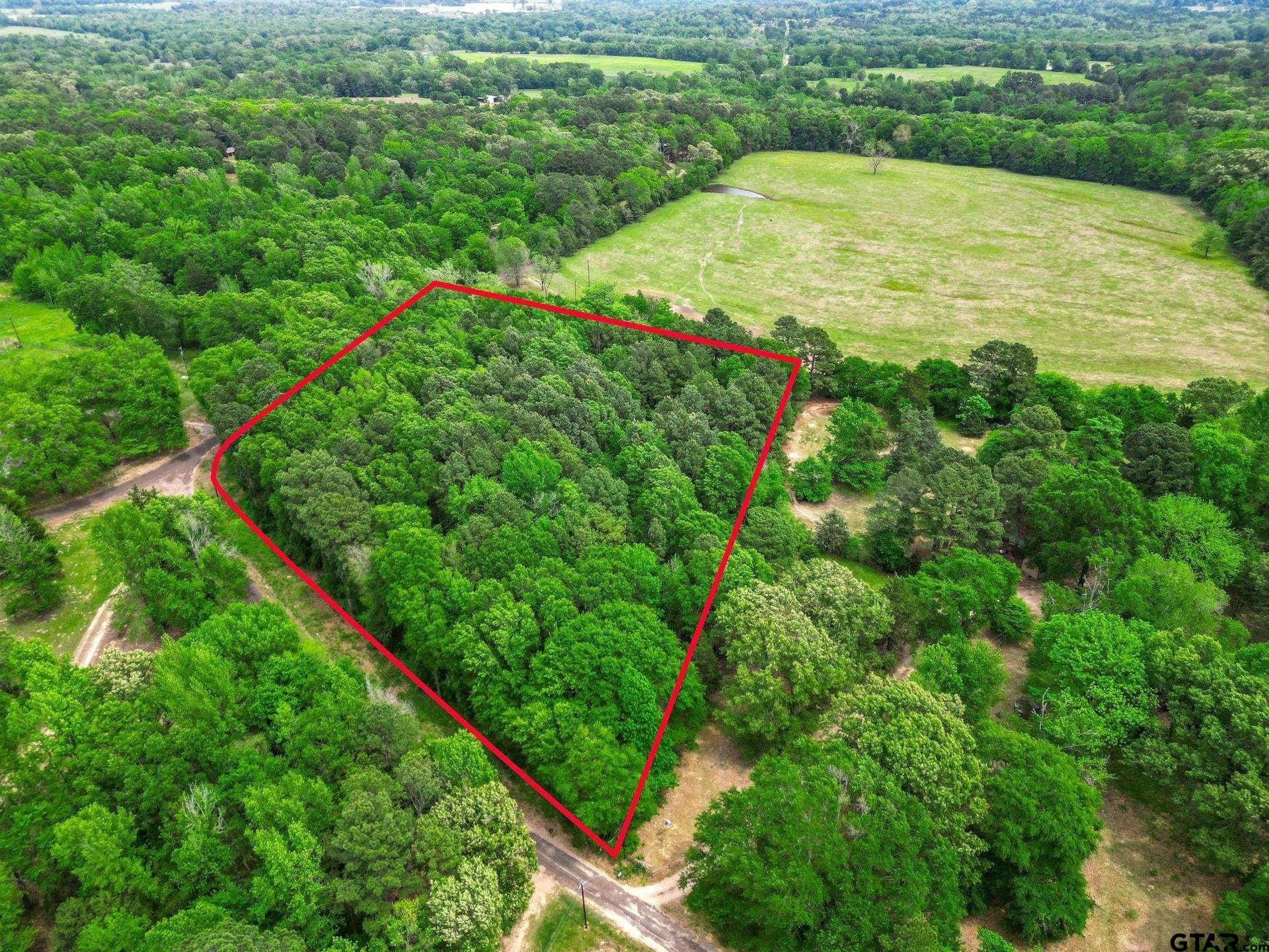 TBD Giraffe RD