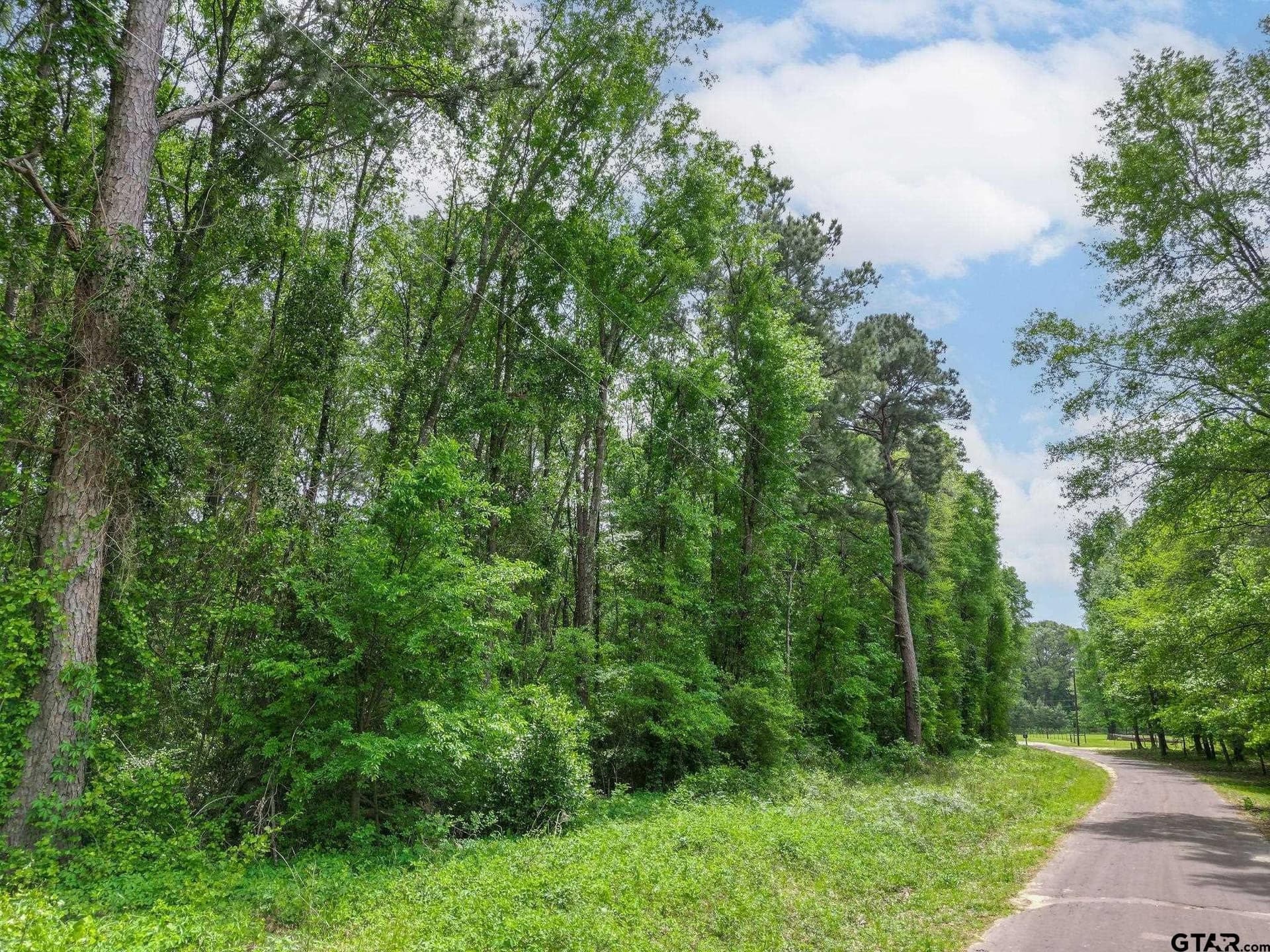 3.93 acres in Upshur County - photo 6