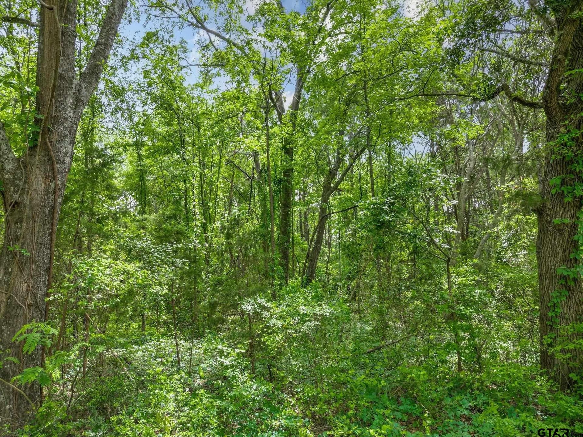 3.93 acres in Upshur County - photo 10