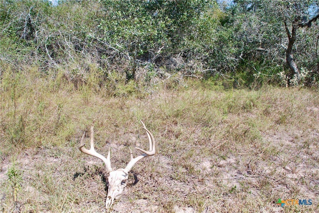 72.4 acres in Lavaca County - photo 36