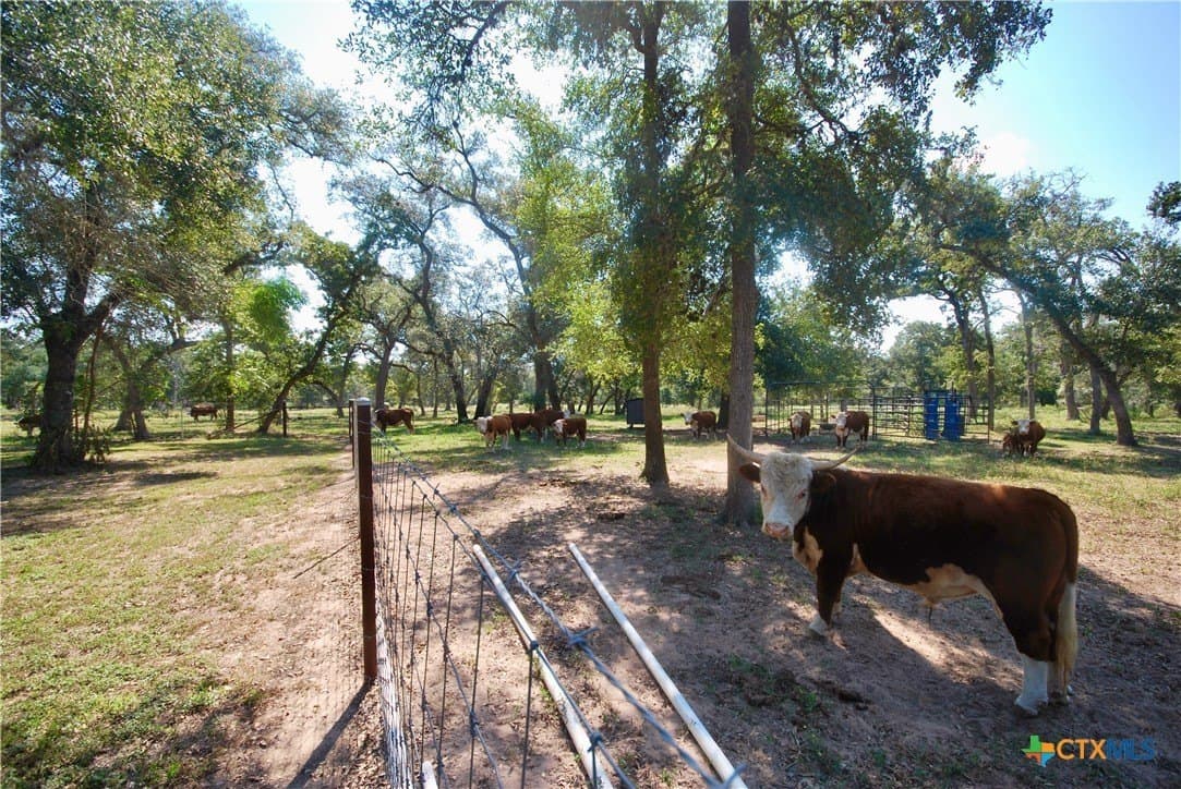 72.4 acres in Lavaca County - photo 23