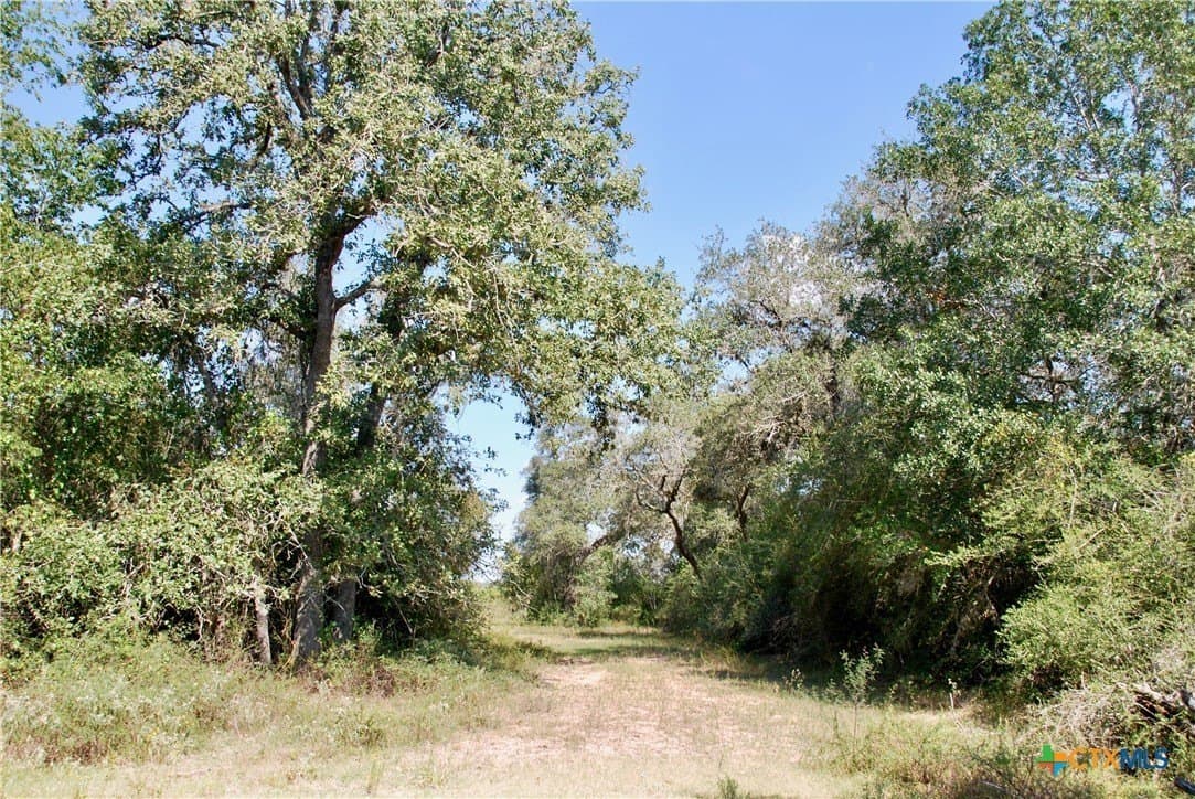 72.4 acres in Lavaca County - photo 45