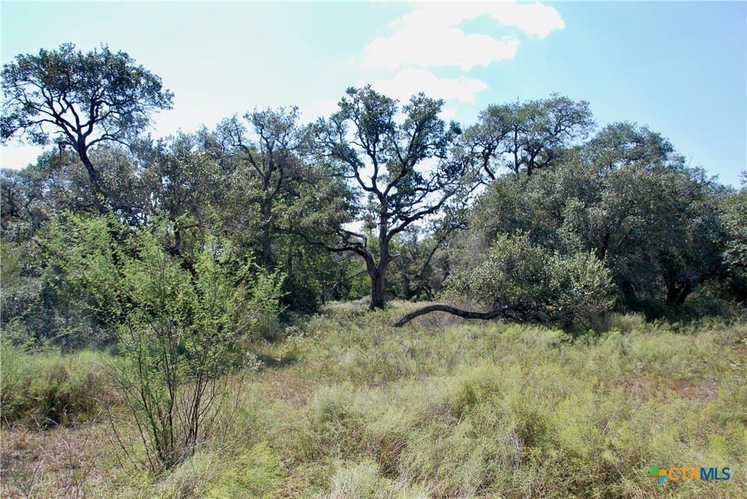 72.4 acres in Lavaca County - photo 37