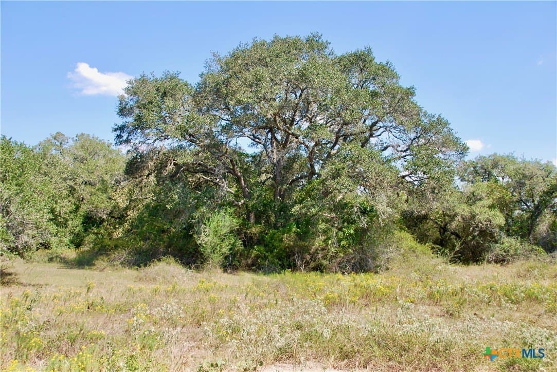 72.4 acres in Lavaca County - photo 46