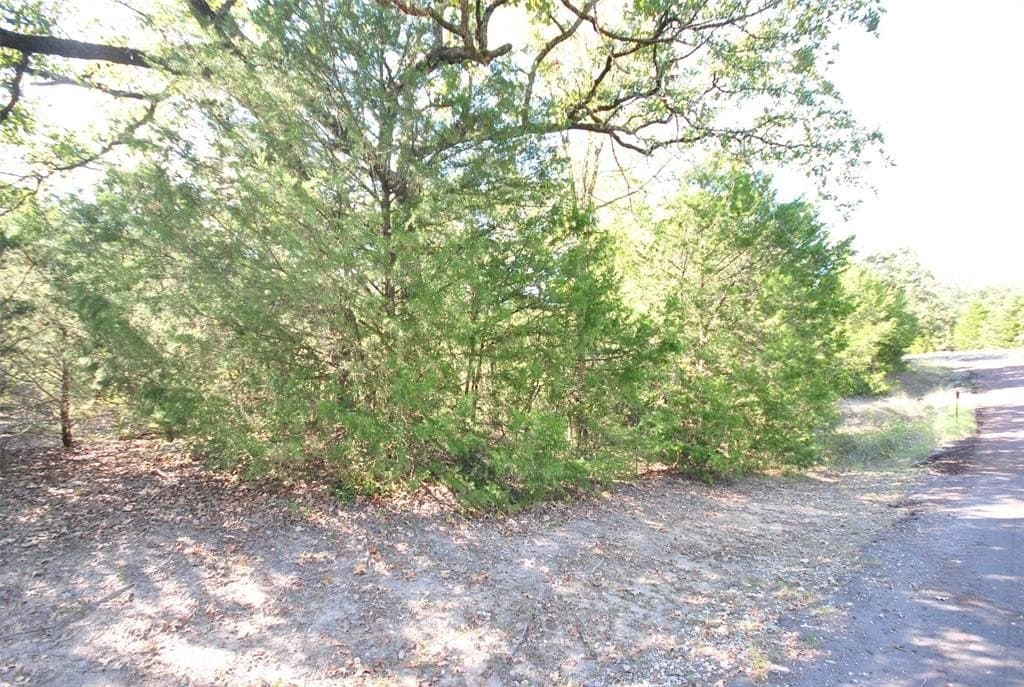 0.38 acres in Limestone County - photo 6
