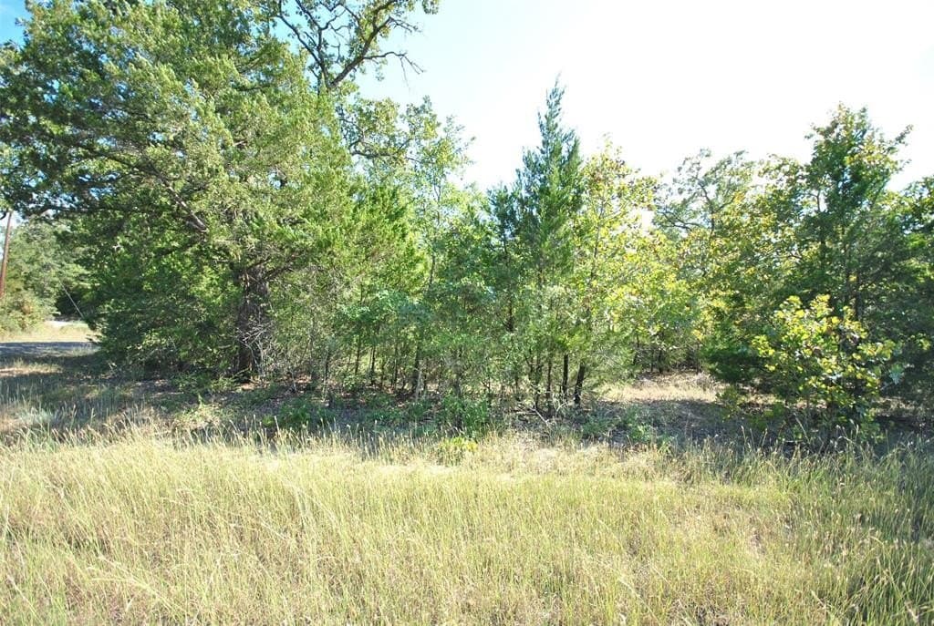 0.38 acres in Limestone County - photo 2