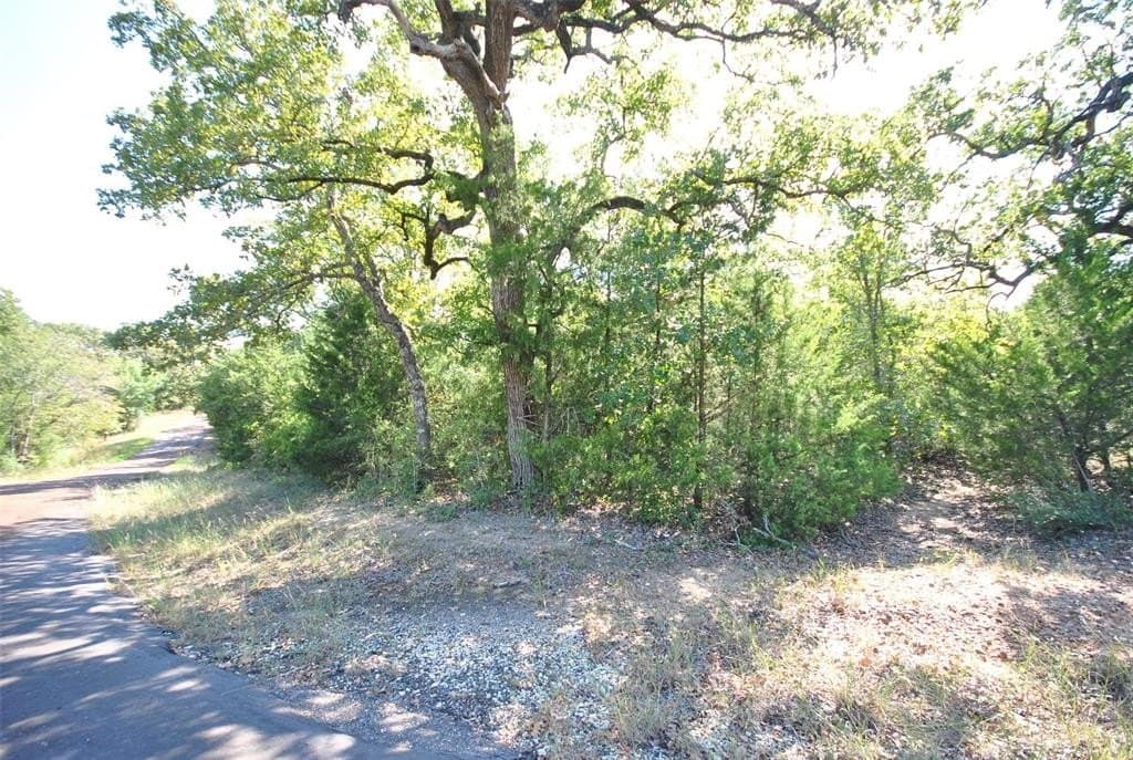 0.38 acres in Limestone County - photo 4