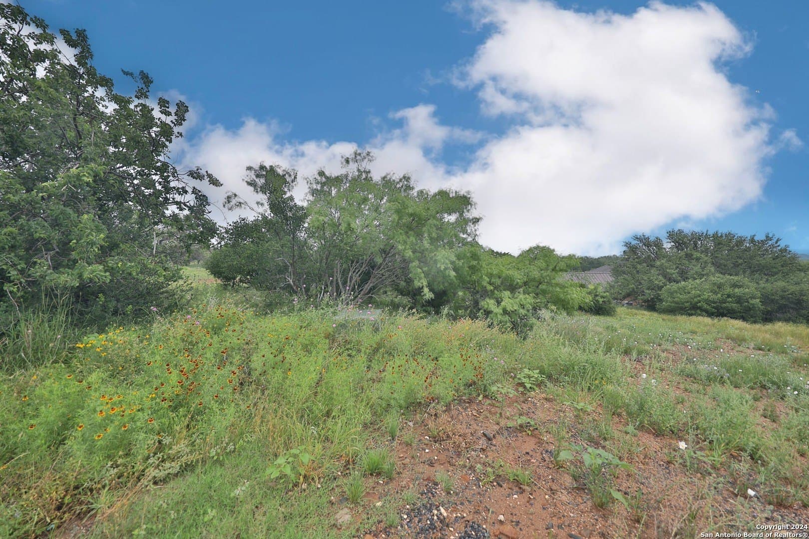 0.26 acres in Llano County - photo 11