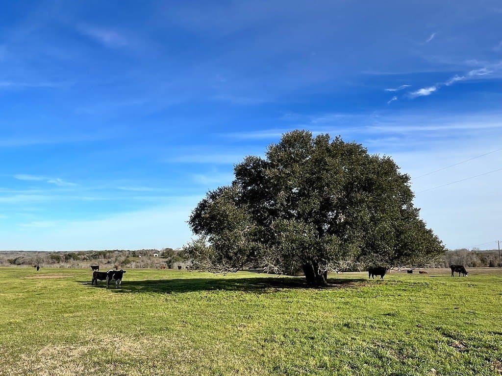 TBD Oil Field Road