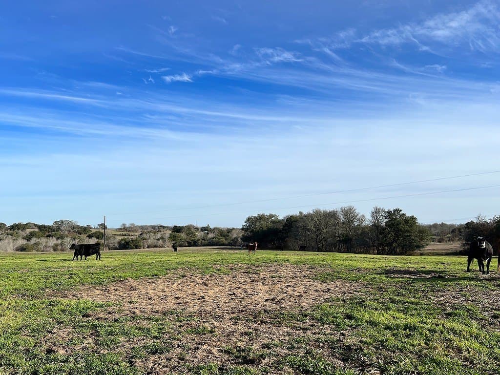 80.39 acres in Washington County - photo 18